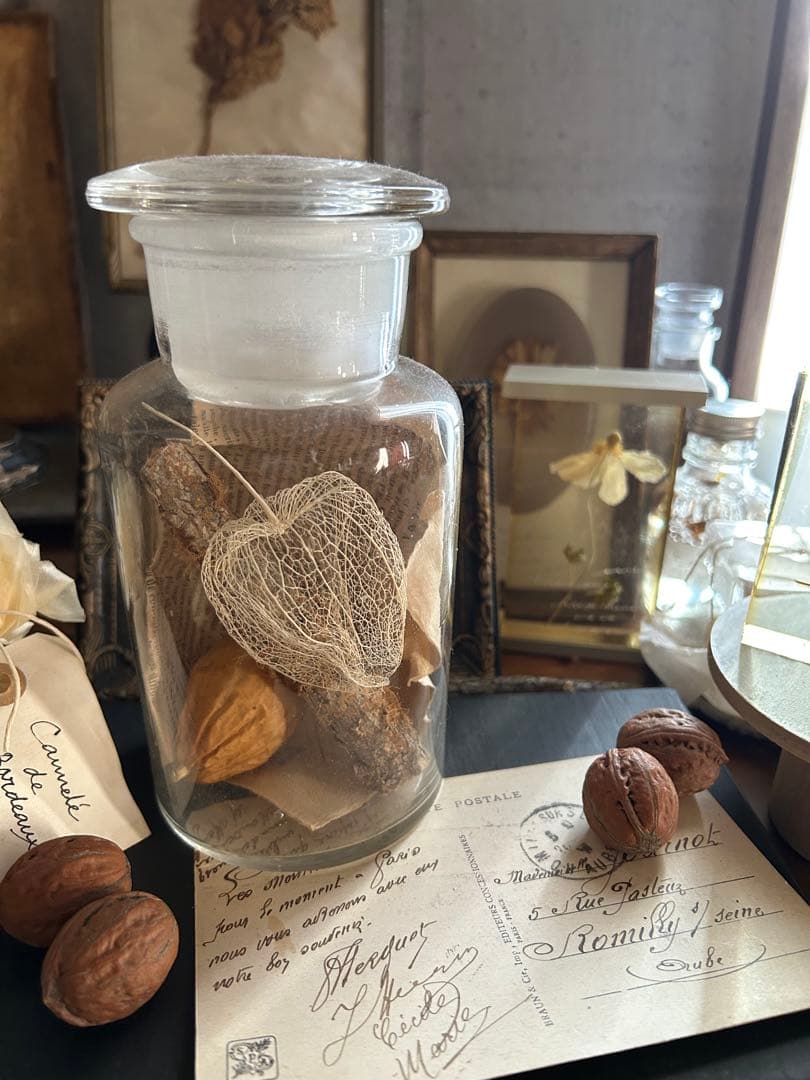 ヴィンテージ 薬品瓶 透かしほおずき 烏瓜 苔付き木 標本瓶 古道具