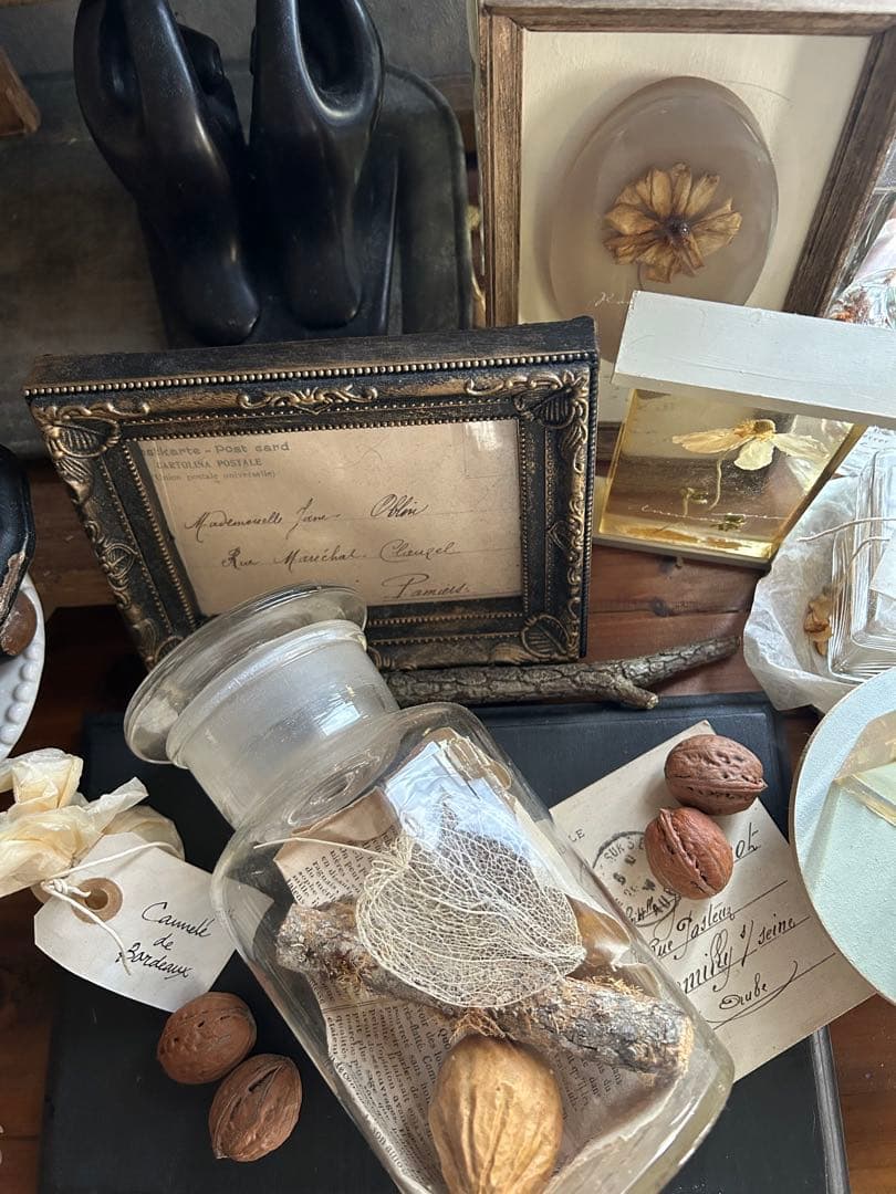 ヴィンテージ 薬品瓶 透かしほおずき 烏瓜 苔付き木 標本瓶 古道具