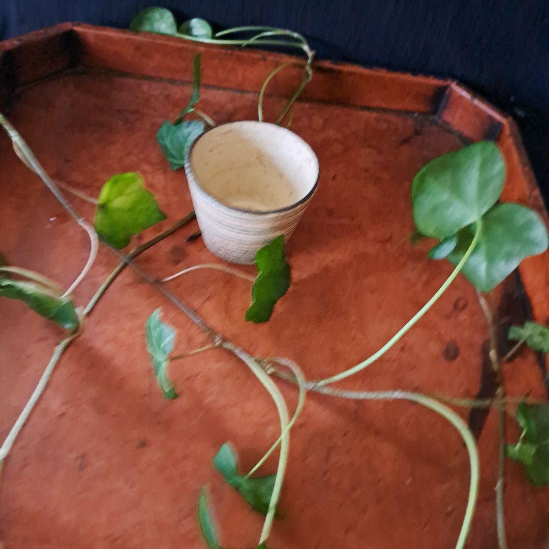 「ロマンいっぱい、輪線文！」 古瀬戸蕎麦猪口(直径6.5cm) 骨董アンティー