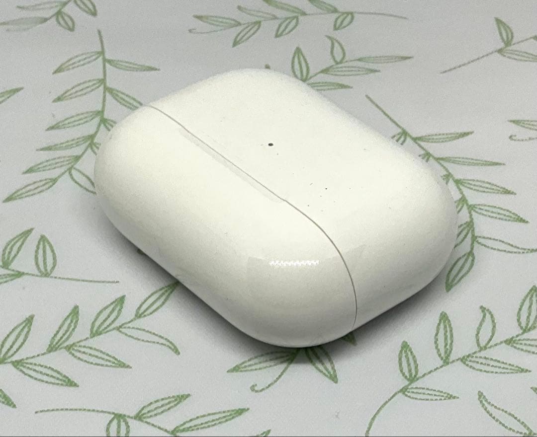 Apple AirPods Pro + Catalystケース ジャンク扱い