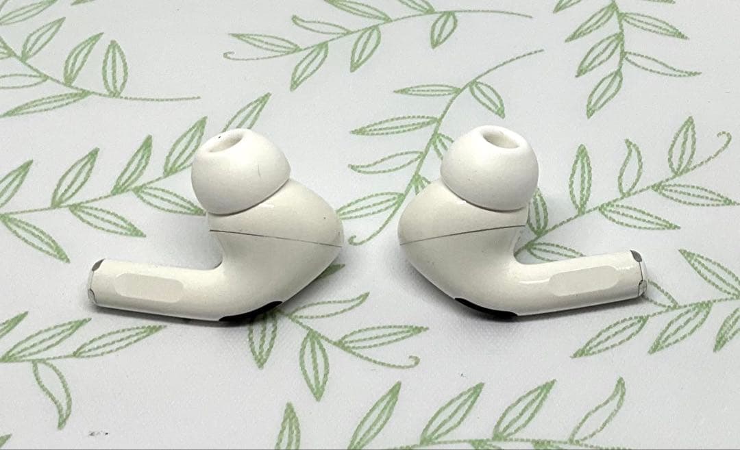 Apple AirPods Pro + Catalystケース ジャンク扱い