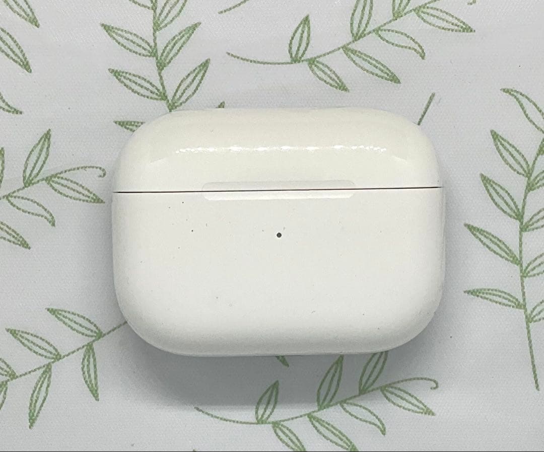 Apple AirPods Pro + Catalystケース ジャンク扱い