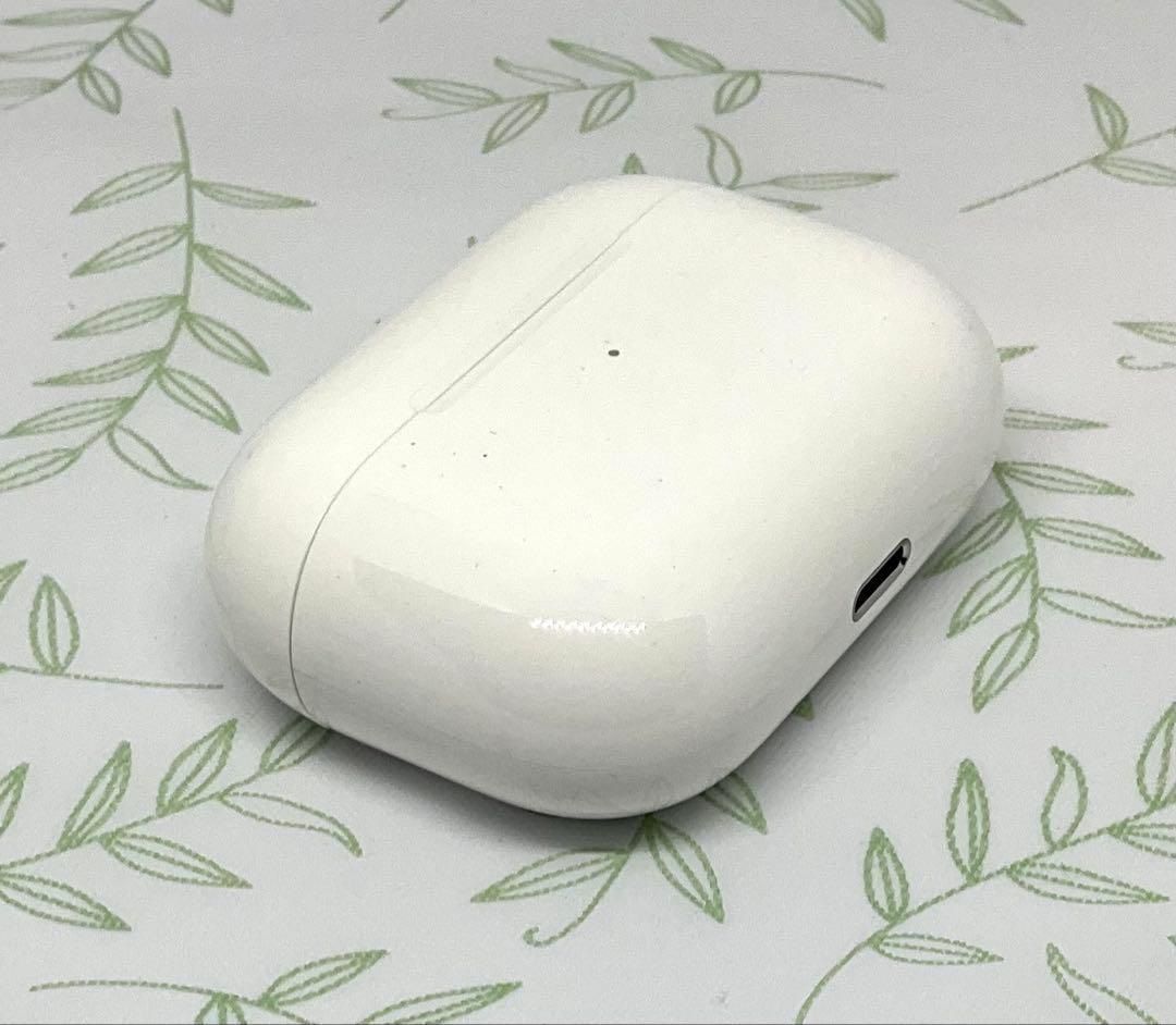 Apple AirPods Pro + Catalystケース ジャンク扱い