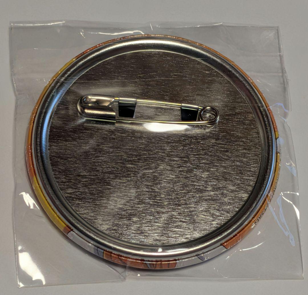 家庭教師ヒットマンREBORN！ 沢田綱吉　缶バッジ　アニメイトポイント景品