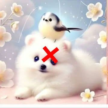 ポメラニアン、柴犬、チワワ、シーズとシマエナガパネル生地　ハンドメイド