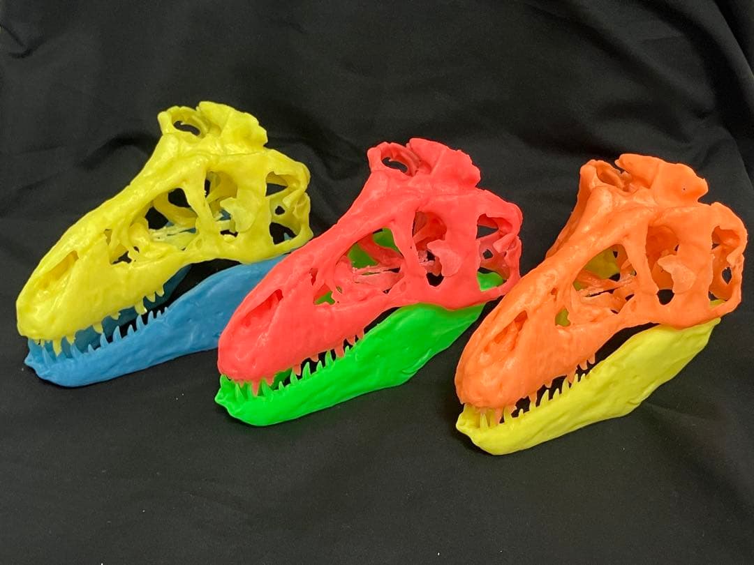 ティラノサウルス　頭骨レプリカセット