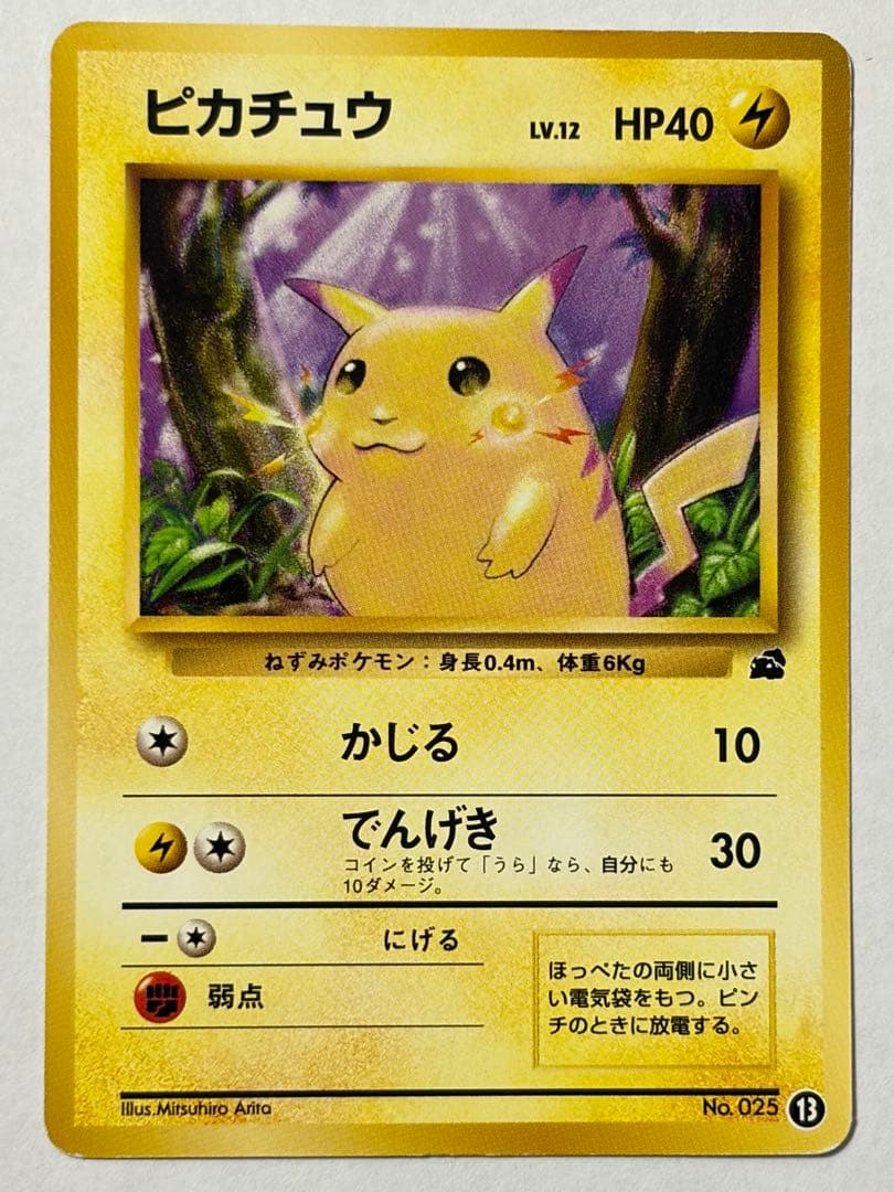 旧裏 イントロパック ピカチュウ ライチュウ ゼニガメ フシギダネ 他10枚