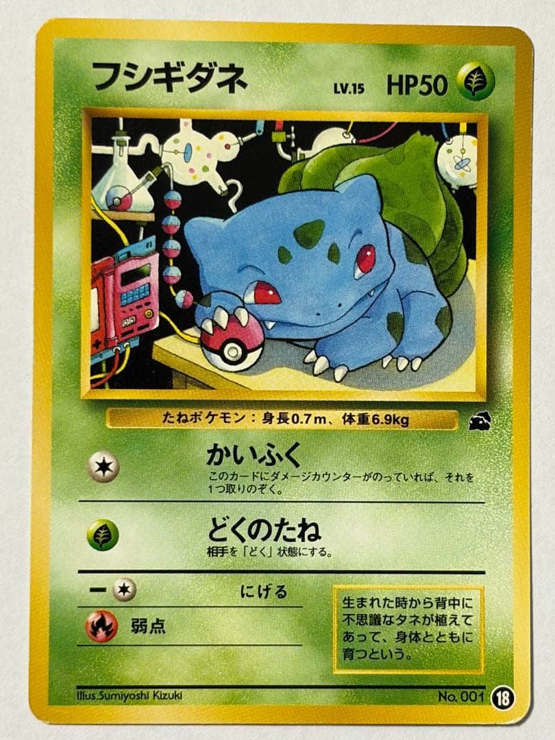 旧裏 イントロパック ピカチュウ ライチュウ ゼニガメ フシギダネ 他10枚