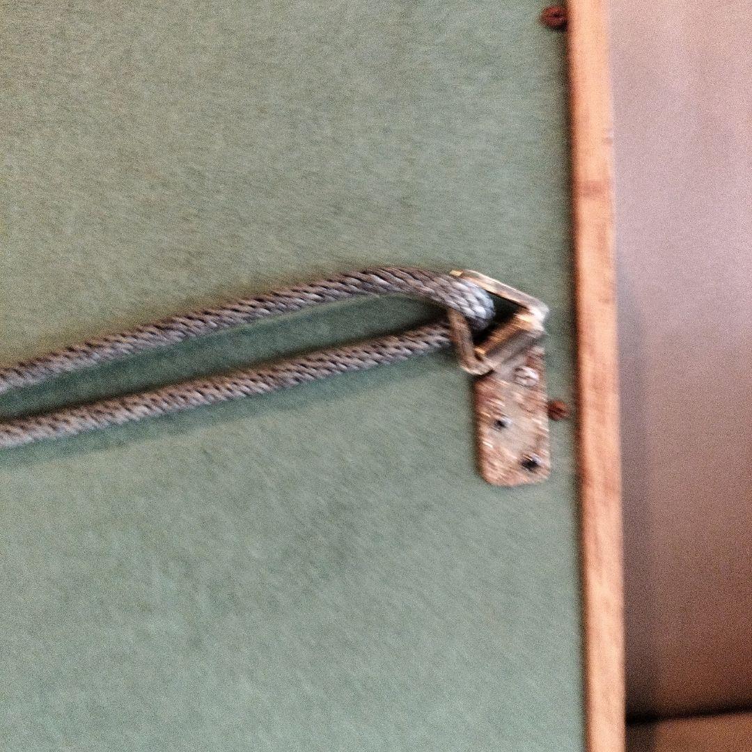 古代魚　魚化石　額　箱付き