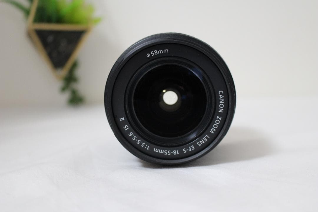 Canon Kiss X5 標準ズームレンズセット 一眼レフカメラ 初心者向け
