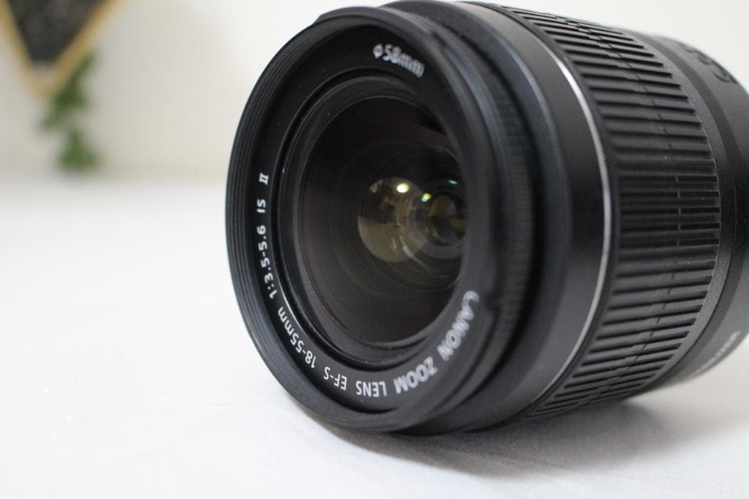 Canon Kiss X5 標準ズームレンズセット 一眼レフカメラ 初心者向け