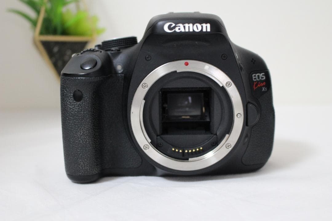 Canon Kiss X5 標準ズームレンズセット 一眼レフカメラ 初心者向け