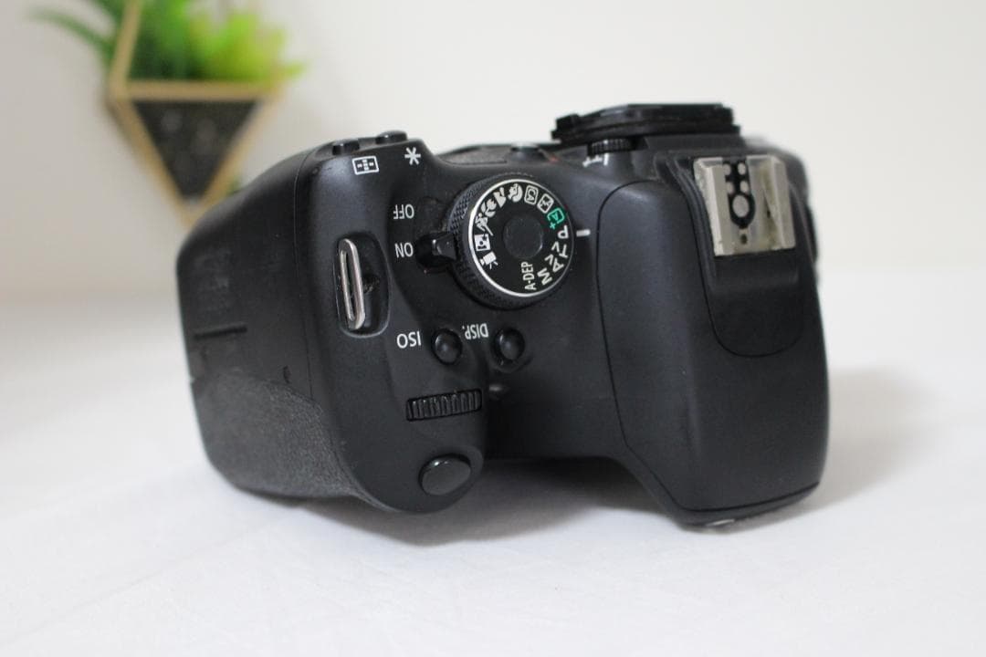 Canon Kiss X5 標準ズームレンズセット 一眼レフカメラ 初心者向け