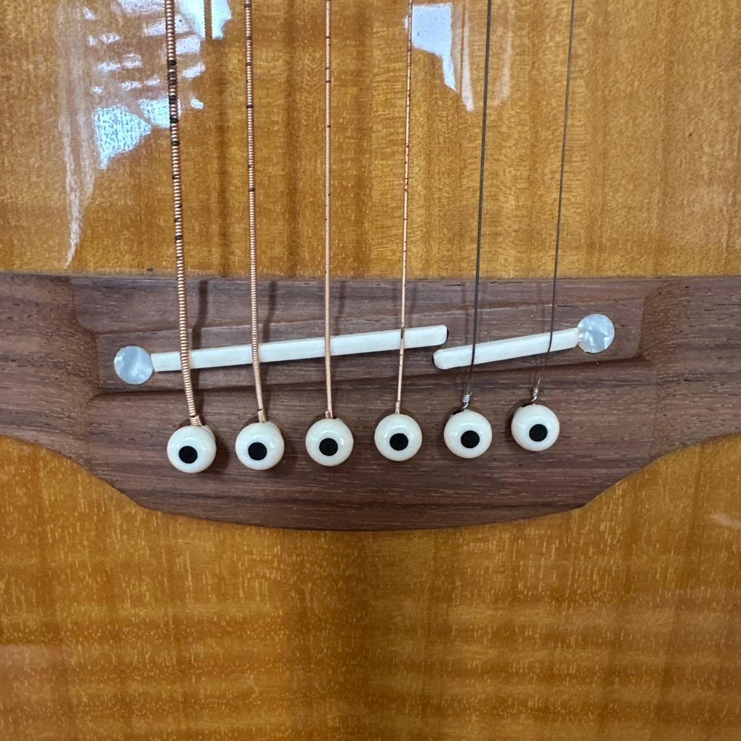 ナルト　Takamine PTU121C FCB エレアコギター