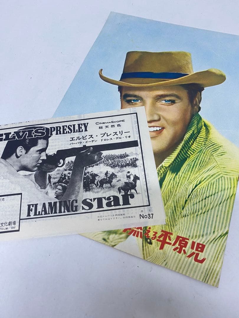 ★燃える平原児★映画パンフレットとチラシ★残念落書き有★エルビス・プレスリー