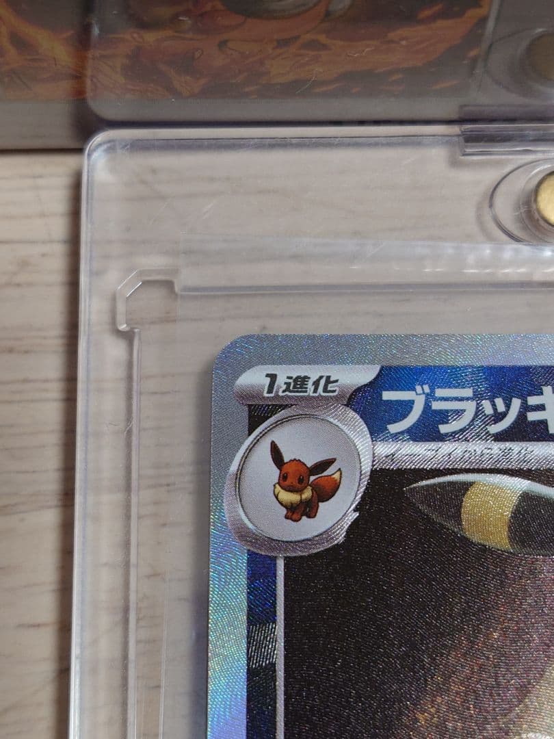 テラスタルフェスex