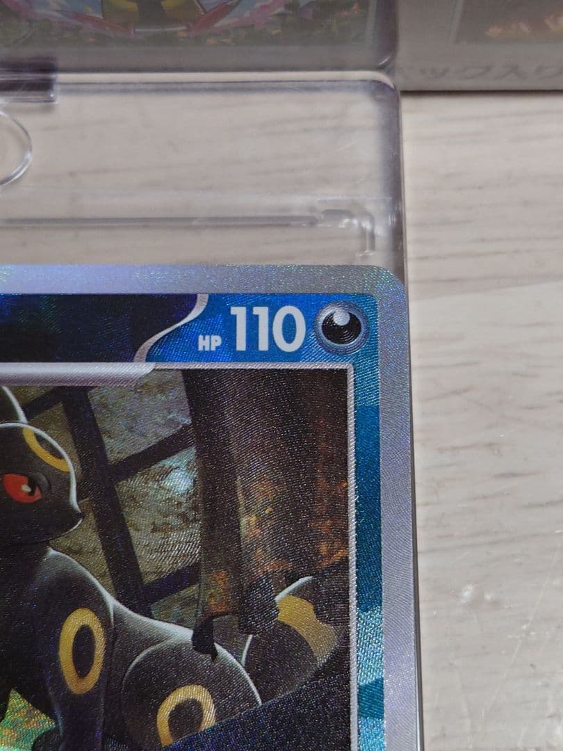 テラスタルフェスex