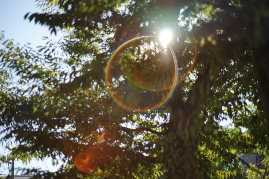 【オールドレンズ】Super Takumar 55mm f1.8 後期