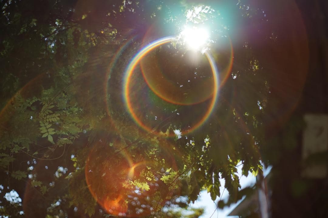 【オールドレンズ】Super Takumar 55mm f1.8 後期