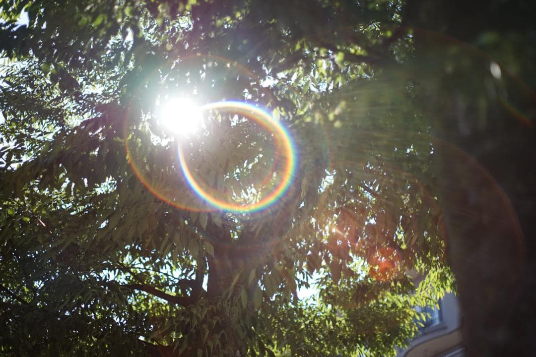 【オールドレンズ】Super Takumar 55mm f1.8 後期