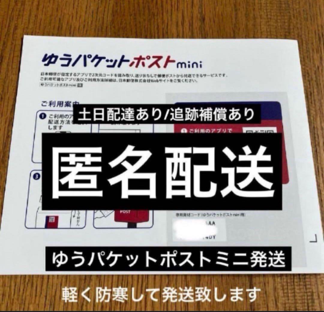 リ*ゴ様 【オークション】匿名配送　2株セット　有望　アガべ　白豪刺　OC【親株