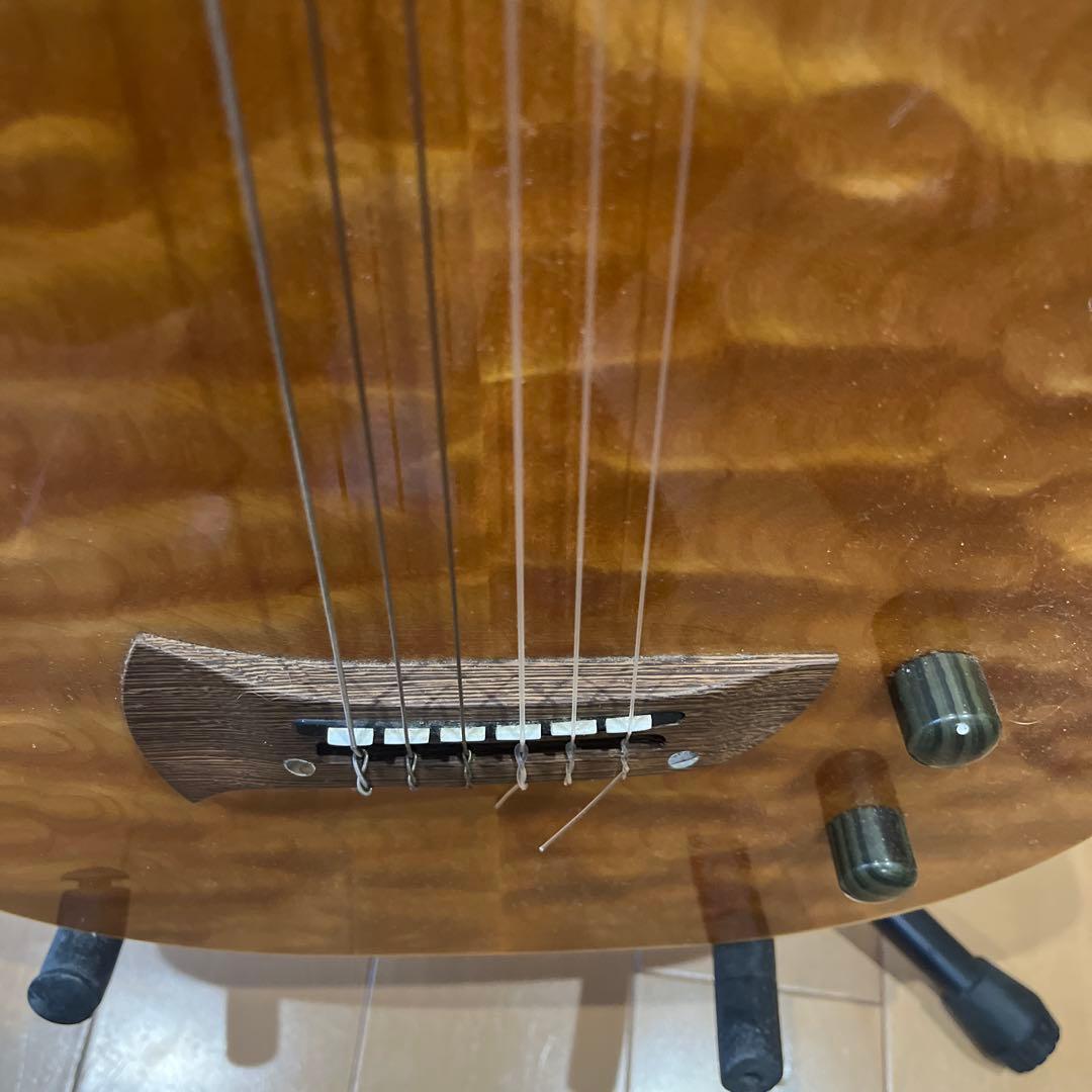 【週末特価】History HEG-120　エレガットギター