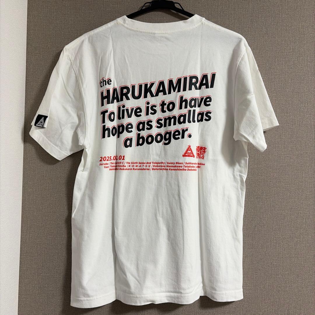 【限定】ハルカミライ LIVE EDITION Tee L ホワイト