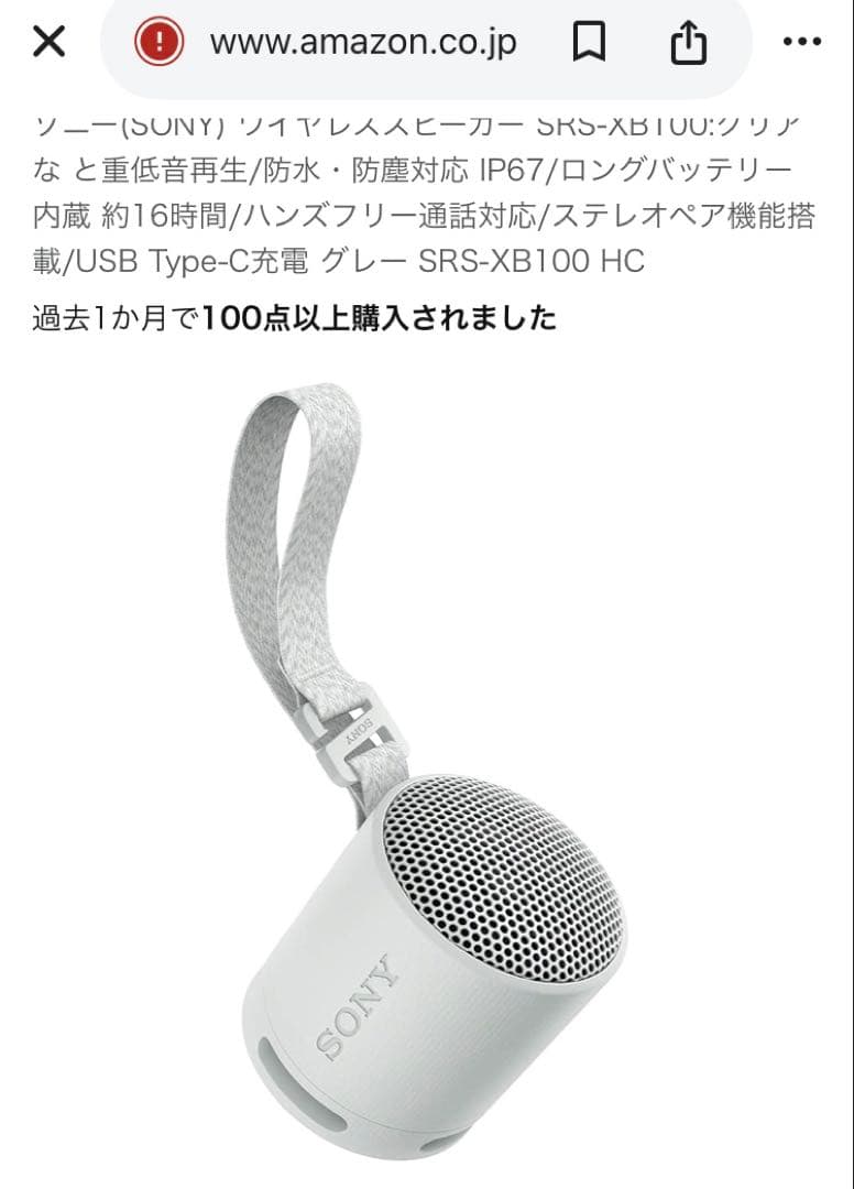 kskさま専用　SONY ワイヤレススピーカー SRS-XB100 グレー