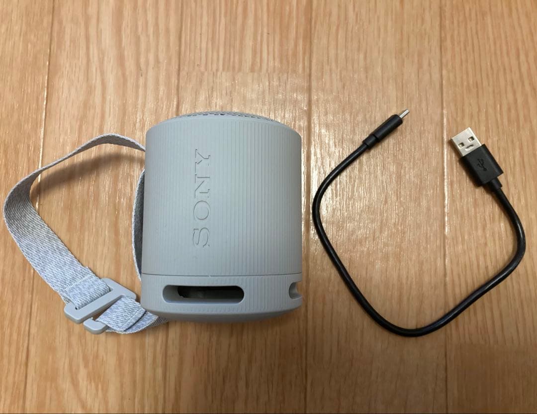kskさま専用　SONY ワイヤレススピーカー SRS-XB100 グレー
