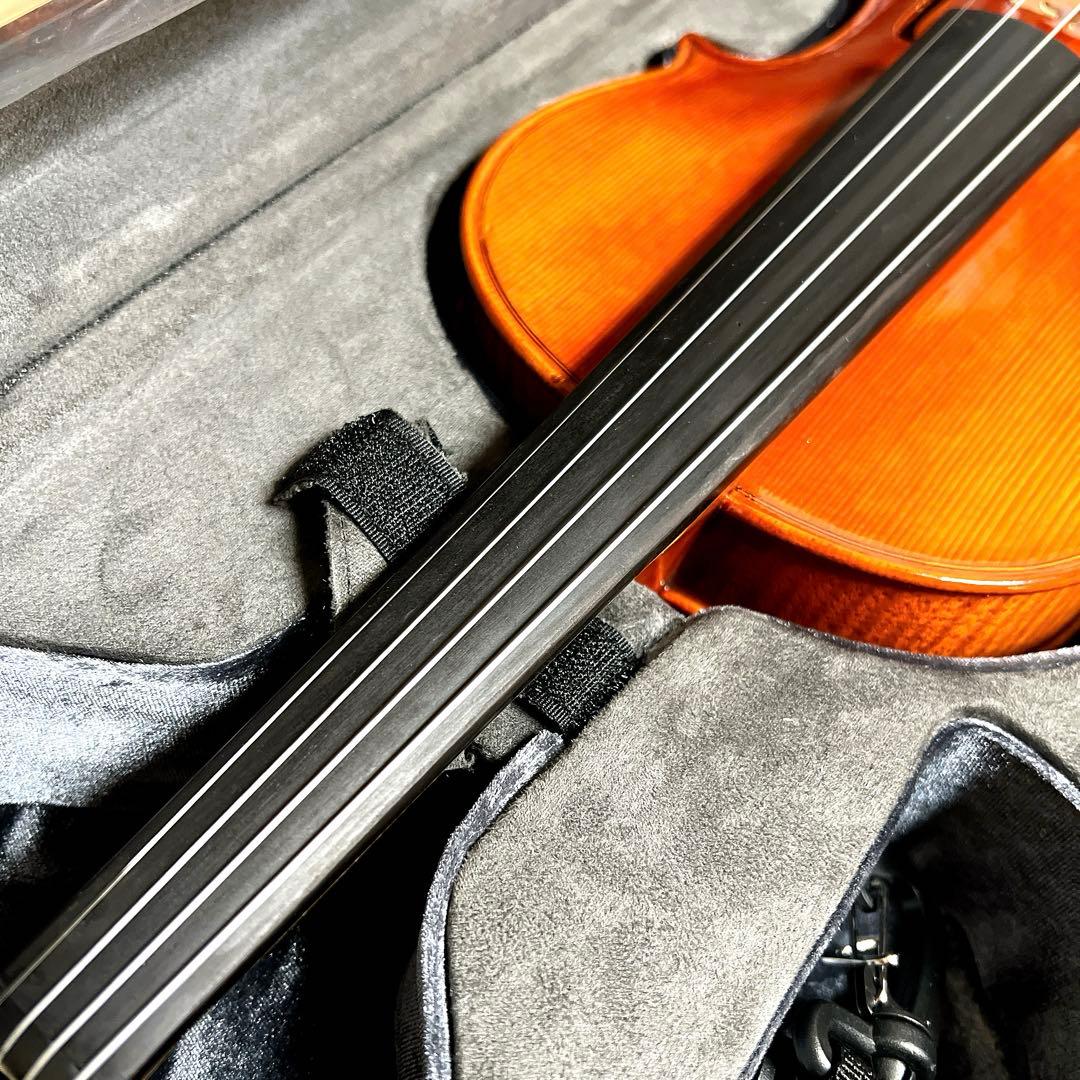 『未使用に近い』Roderich Paesold 804A 4/4 バイオリン