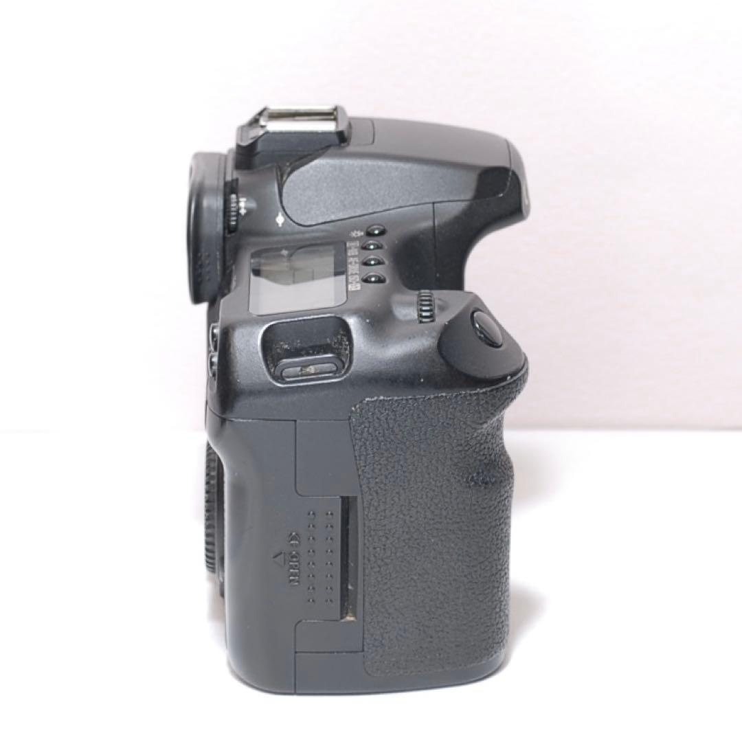 ✨サクサク撮れる✨Canon EOS 50D✨望遠レンズ✨高速連写機能✨