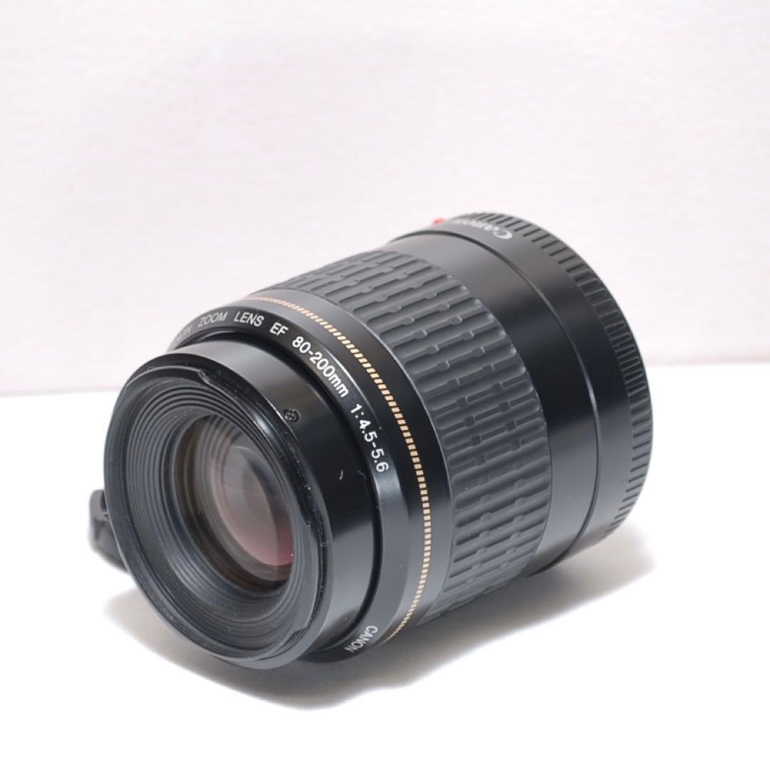✨サクサク撮れる✨Canon EOS 50D✨望遠レンズ✨高速連写機能✨