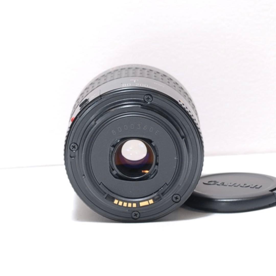 ✨サクサク撮れる✨Canon EOS 50D✨望遠レンズ✨高速連写機能✨