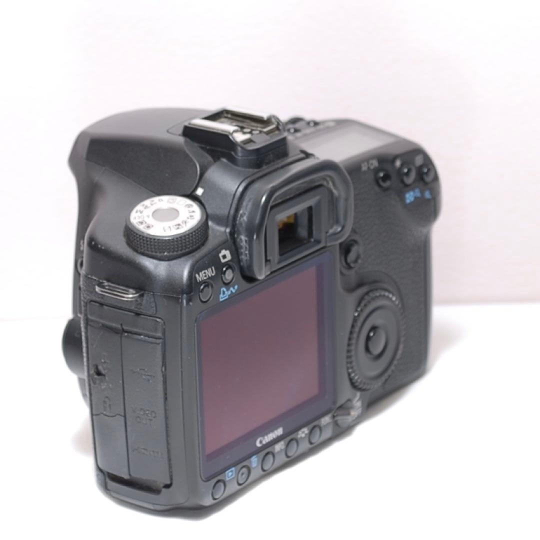 ✨サクサク撮れる✨Canon EOS 50D✨望遠レンズ✨高速連写機能✨