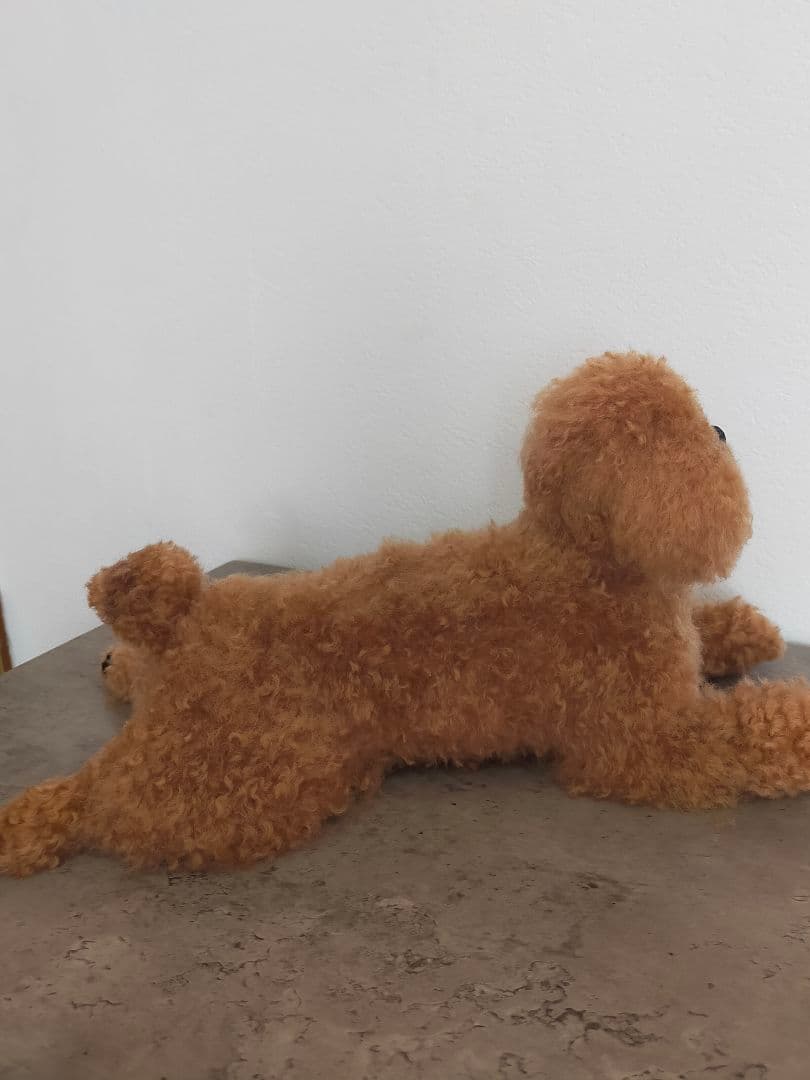 お値下げ！送料込み。今だけ限定スタイ付き♡トイプーちゃん。マズルカット可