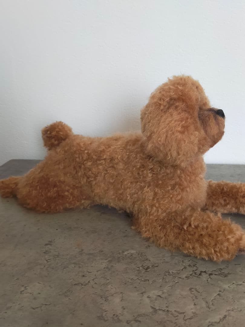 お値下げ！送料込み。今だけ限定スタイ付き♡トイプーちゃん。マズルカット可