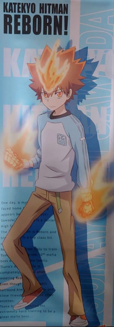 REBORN!リボーン スティックポスター 10枚セット 雲雀 骸 獄寺 沢田