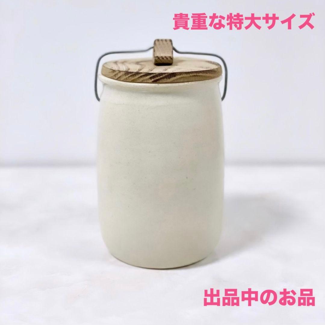 希少 市川孝 手付き茶杯1個 伊藤聡信剛俊鈴木環大谷哲也桃子楠田純子八田亨辻和美
