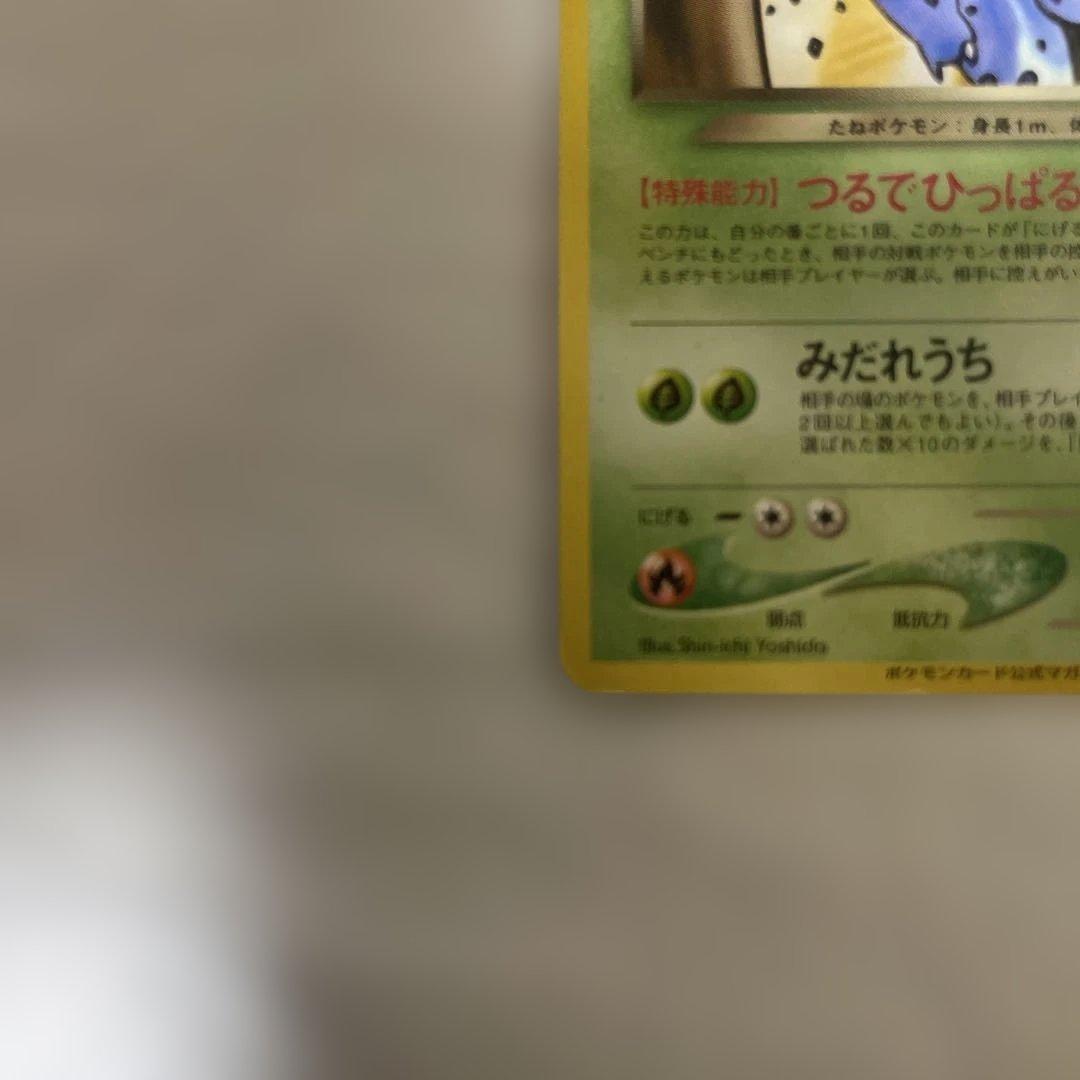 わるいフシギバナ&わるいフシギソウ_「ポケモンカードトレーナーズVol.10」