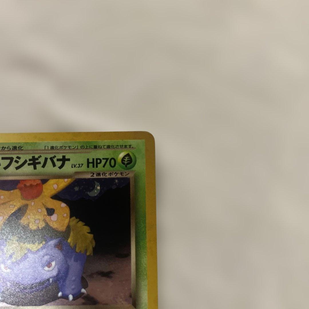 わるいフシギバナ&わるいフシギソウ_「ポケモンカードトレーナーズVol.10」