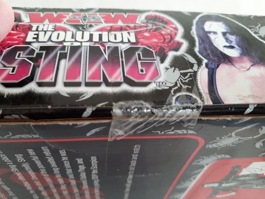 スポーツ WCW THE EVOLUTION OF STING