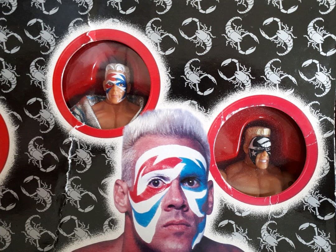 スポーツ WCW THE EVOLUTION OF STING