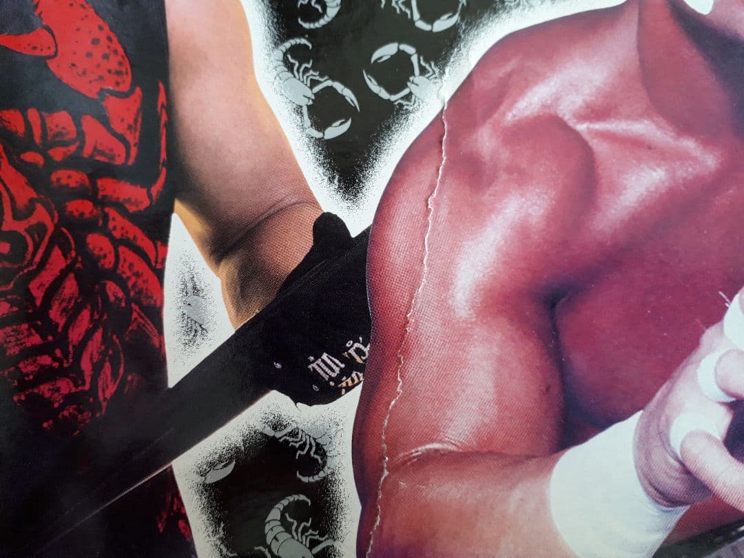 スポーツ WCW THE EVOLUTION OF STING