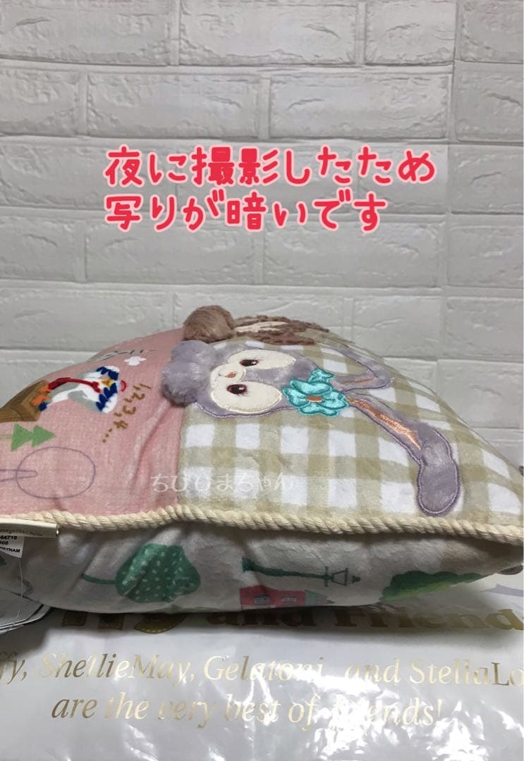 ディズニーシー♥ダッフィー&フレンズ♡かくれんぼ クッション♥