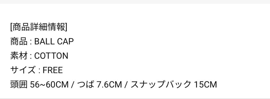【新品未開封】Straykids MAGIC SCHOOL ペンミグッズ　CAP