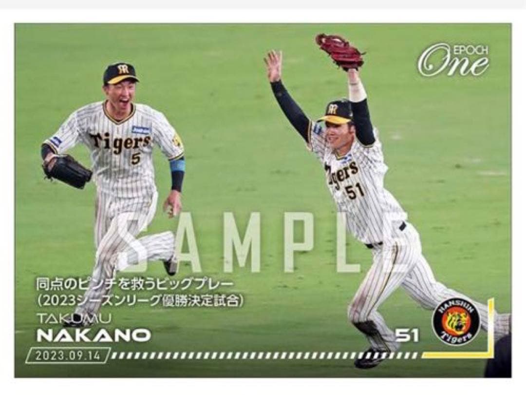 「9枚フルコンプセット」阪神タイガース リーグ優勝決定試合 記念（23.9.14