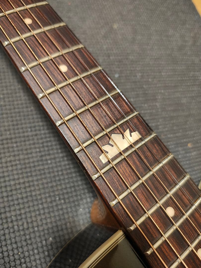 Epiphone EJ-200 Coupe VS/新同品ソフトケース