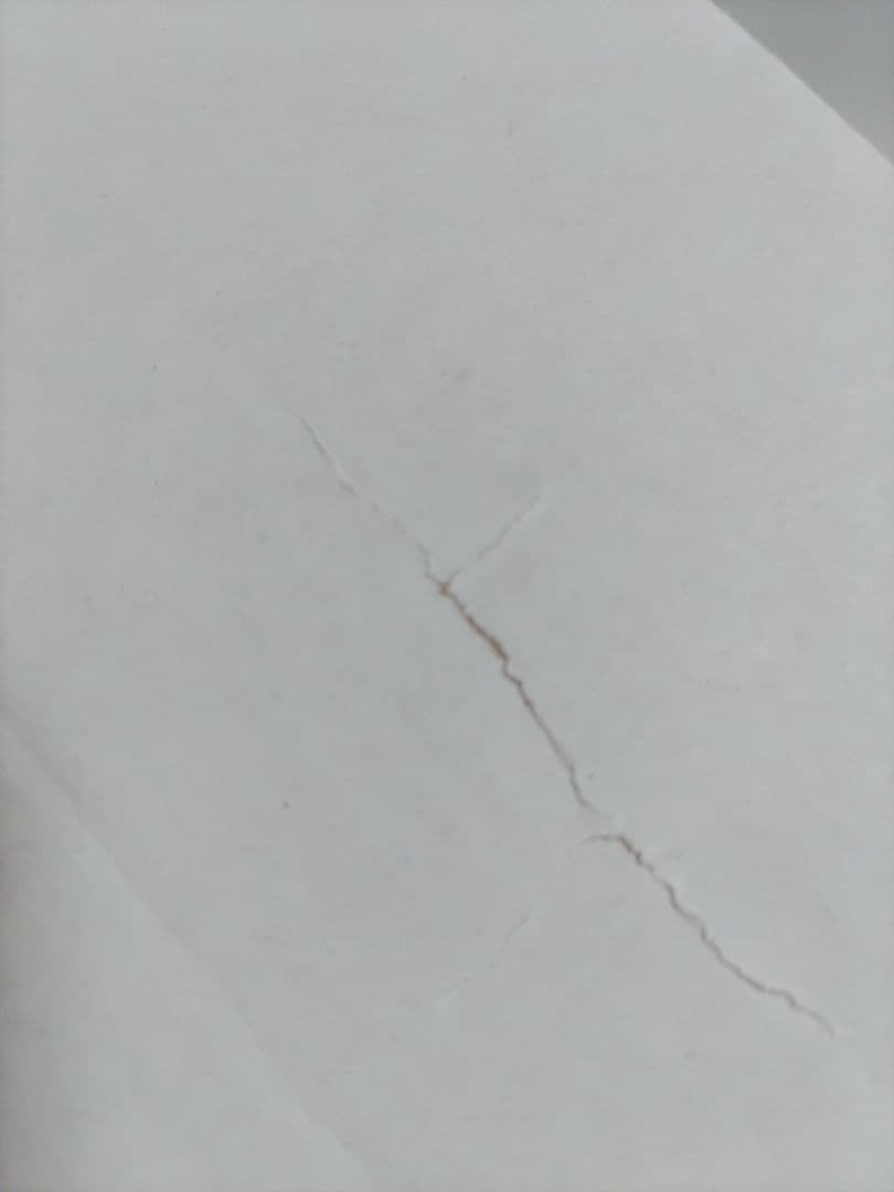 美女と野獣　ポット夫人とチップ　アフターヌンティー　ルームライト