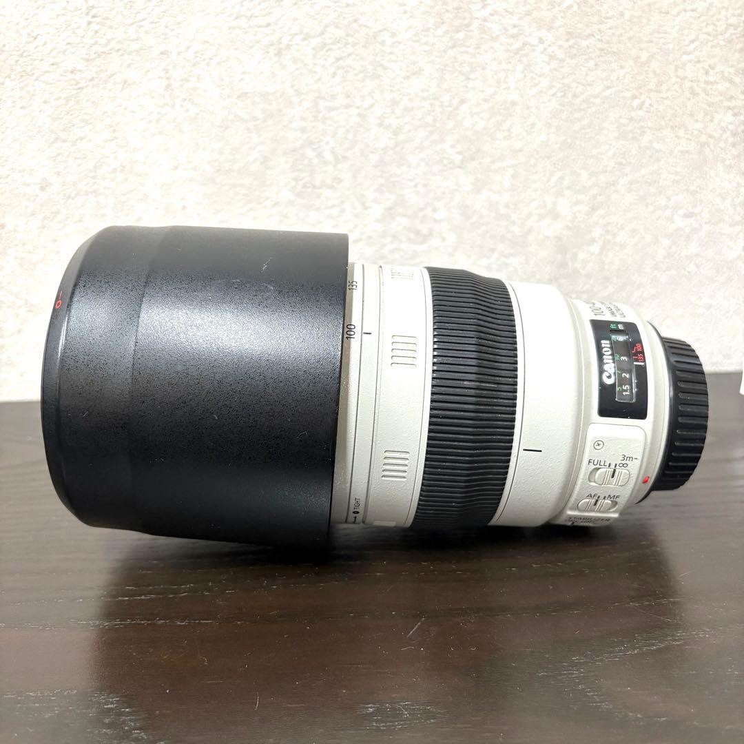Canon 100-400mm ズームレンズ