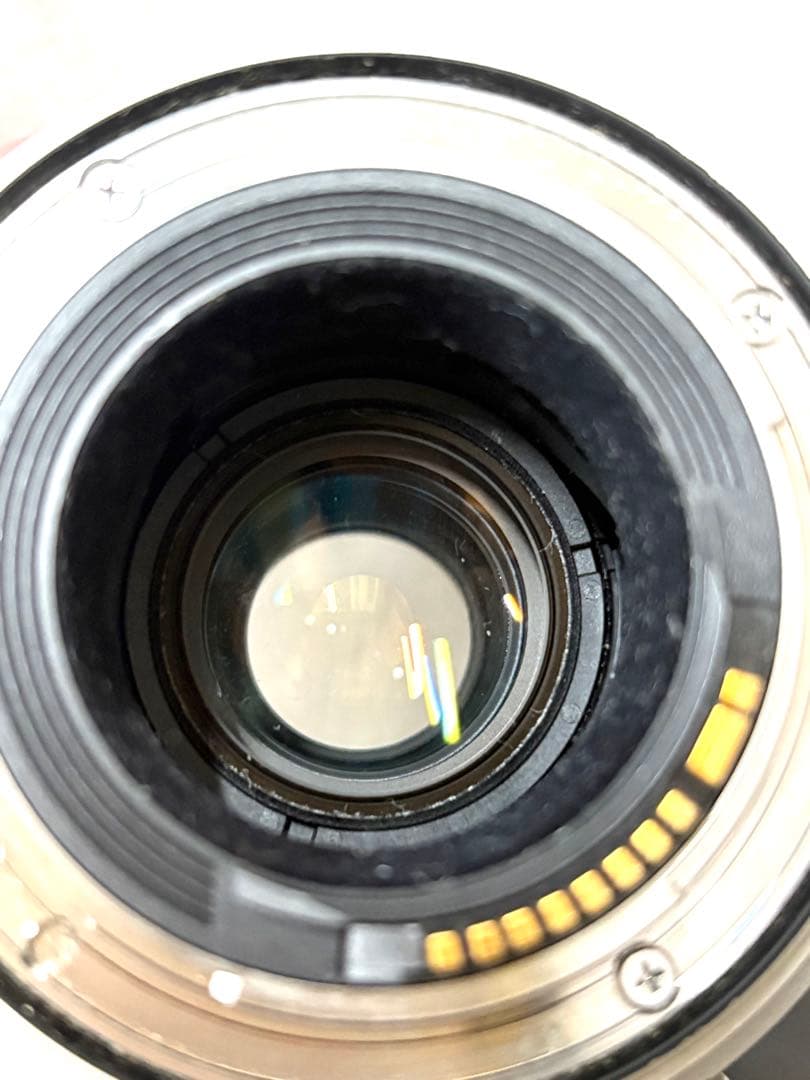 Canon 100-400mm ズームレンズ